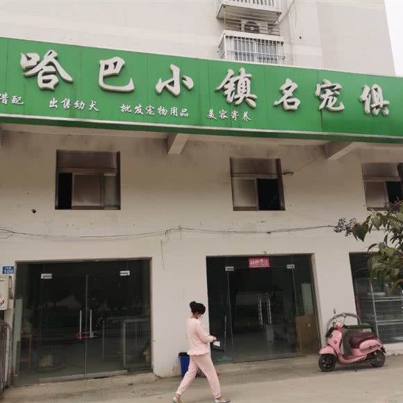 哈巴小镇名宠俱乐部:淮北市相山区