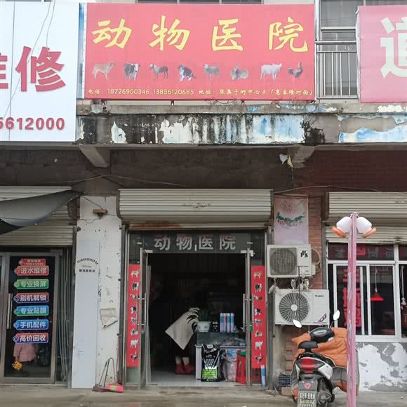 动物医院:淮北市相山区