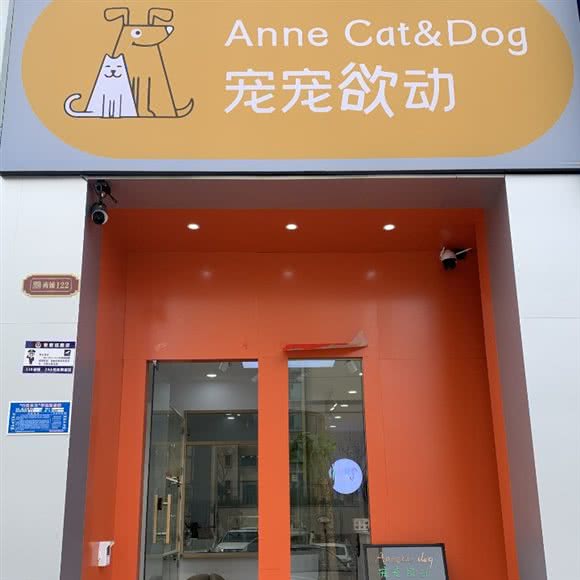 宠宠欲动:淮北市濉溪县