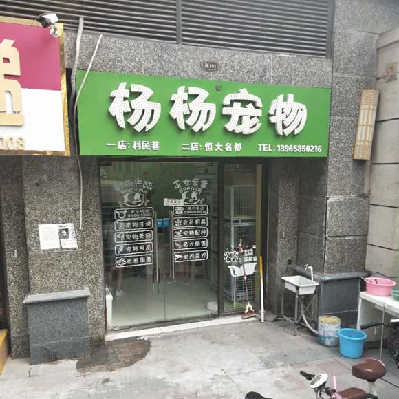 杨杨宠物:淮北市濉溪县