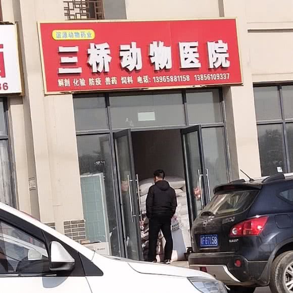 三桥动物医院:淮北市濉溪县