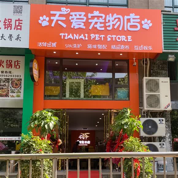 天爱宠物店:铜陵市铜官区