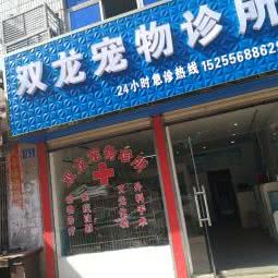 双龙宠物诊所:铜陵市枞阳县