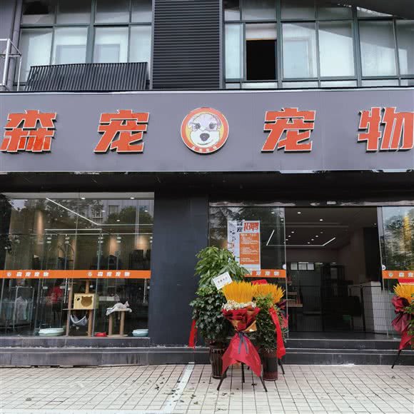 森宠宠物:安庆市迎江区