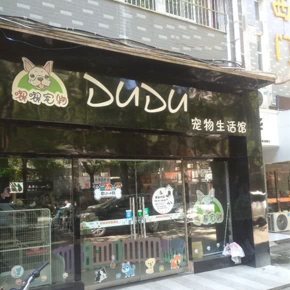 DUDU宠物狗生活馆:安庆市大观区