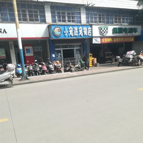 小宠迷宠物店:安庆市大观区