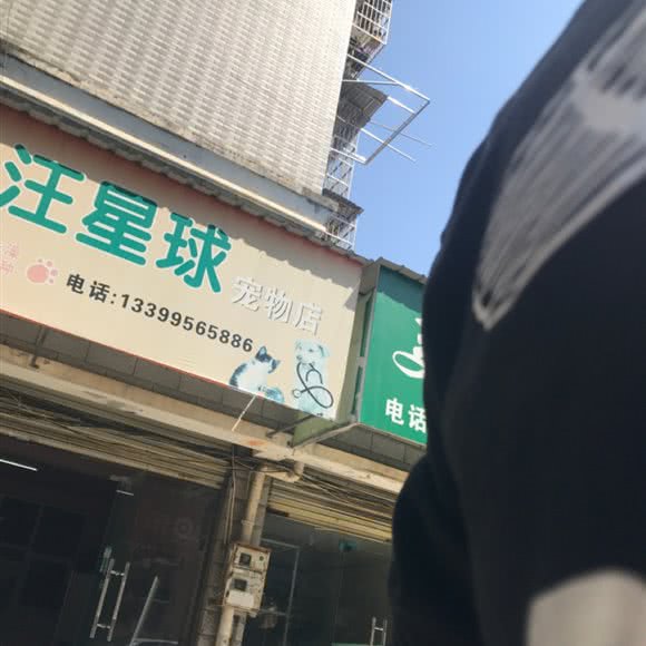 汪星球宠物店:安庆市宜秀区