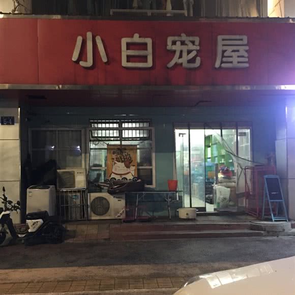 小白宠屋:安庆市宜秀区
