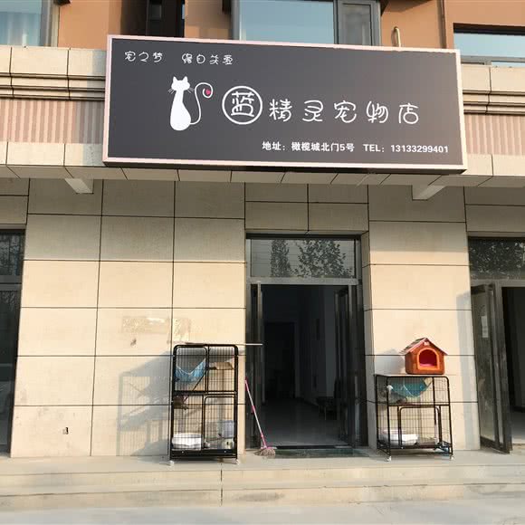 蓝精灵宠物店:运城市盐湖区黄金水岸附近