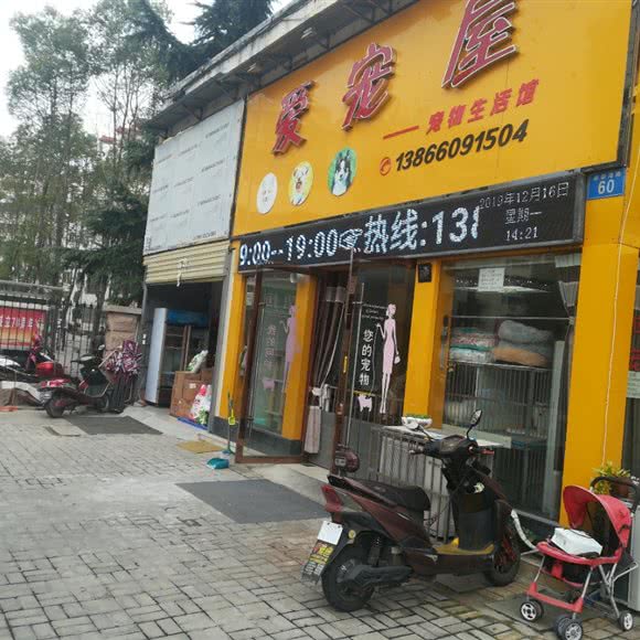 爱宠屋:安庆市宜秀区