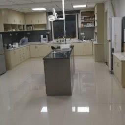 博爱宠物医院东区:安庆市宜秀区