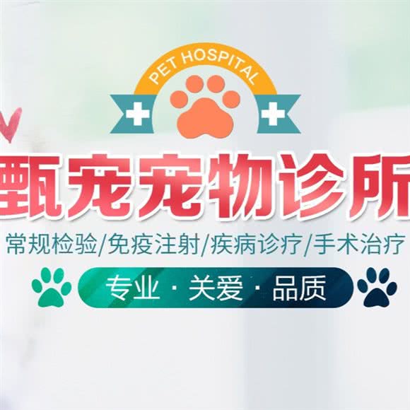 甄甄宠物医院:安庆市宜秀区