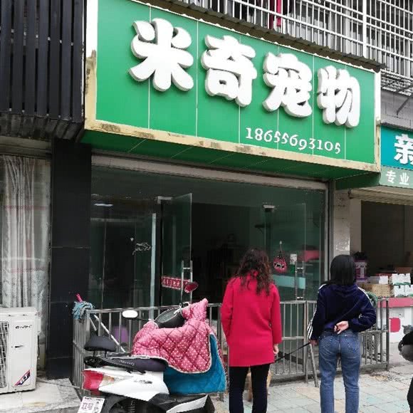 米奇宠物:安庆市怀宁县