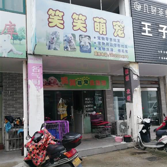 笑笑萌宠:安庆市岳西县