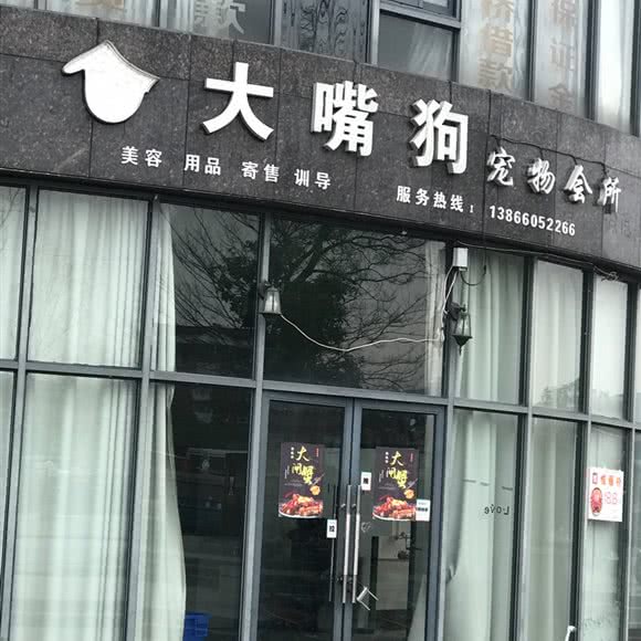 大嘴狗宠物会所:安庆市桐城市