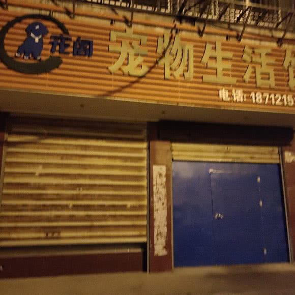 宠阁宠物狗生活馆:安庆市桐城市