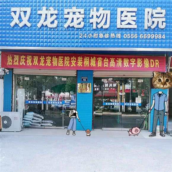 双龙宠物医院(桐城店):安庆市桐城市