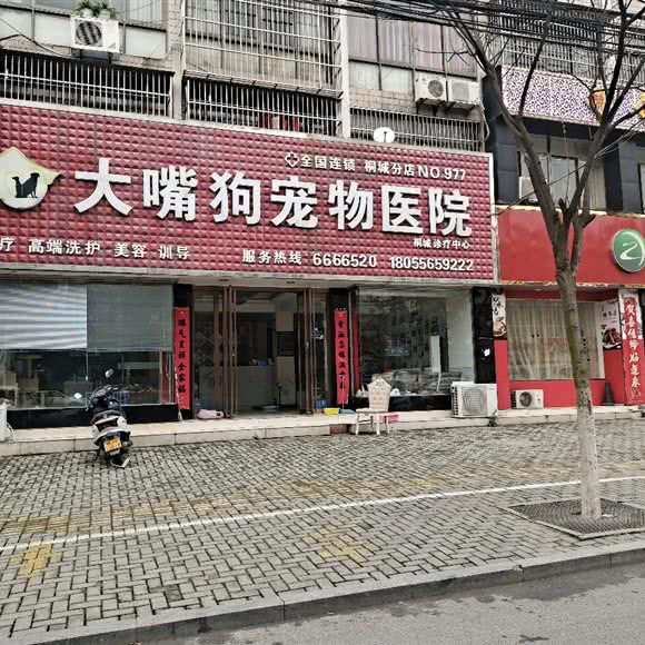 大嘴狗宠物医院(桐城分店):安庆市桐城市