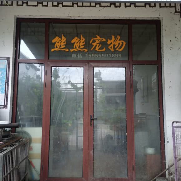 熊熊宠物店:黄山市屯溪区