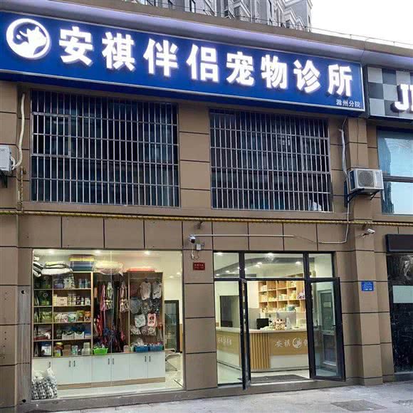 安祺伴侣宠物诊所(裕坤丽景城店):滁州市琅琊区