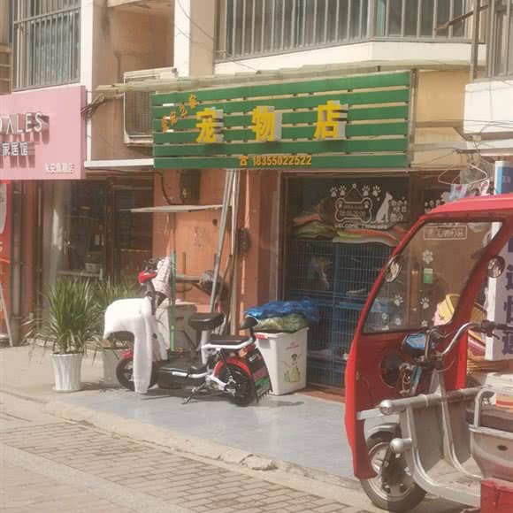 爱宠之十家:滁州市来安县