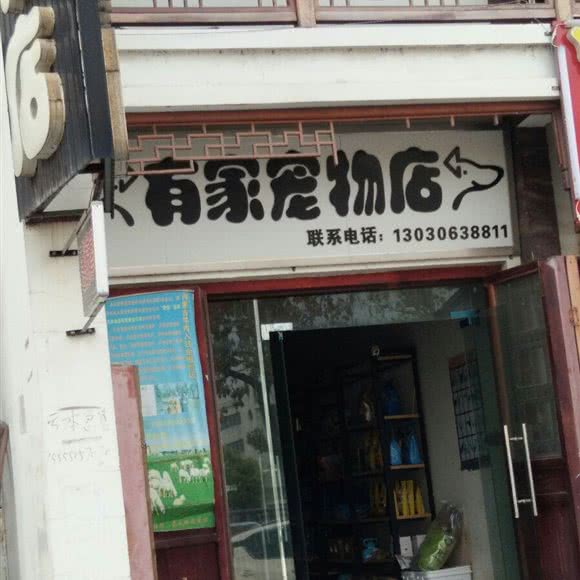 有家宠物店:滁州市全椒县