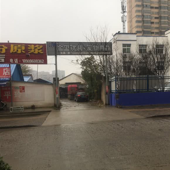 金望玩具·宠物用品:滁州市全椒县