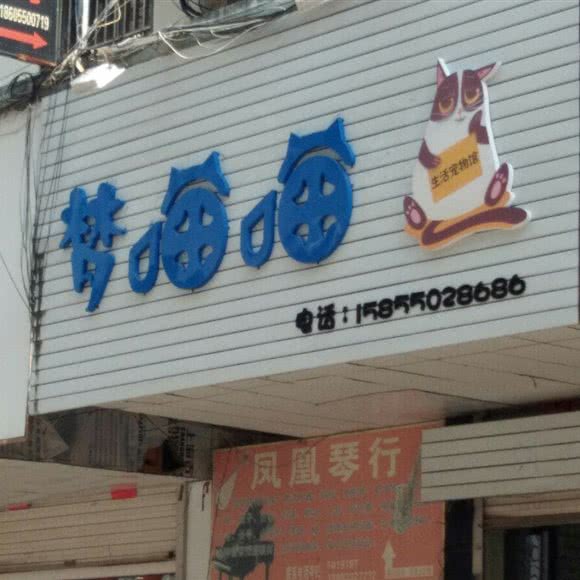 梦喵喵:滁州市全椒县