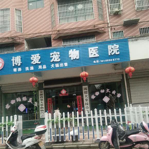 博爱宠物医院(一店):滁州市全椒县