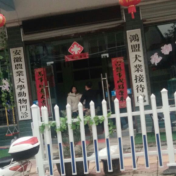 安徽农业大学动物医院(大嘴狗品牌分店):滁州市全椒县
