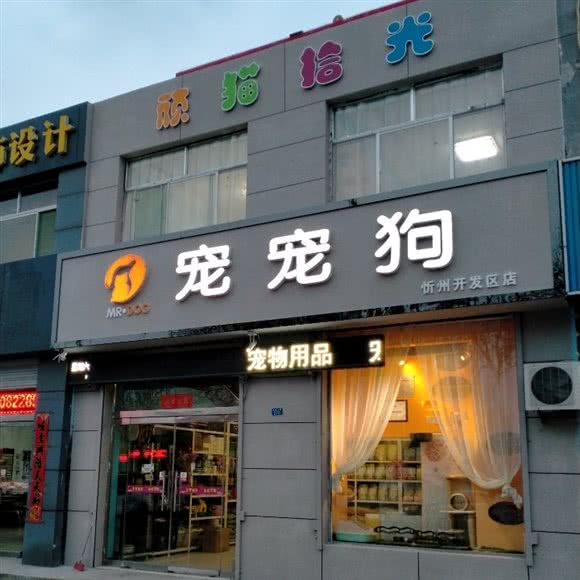 宠宠狗·顽猫拾光:忻州市忻府区开发区附近