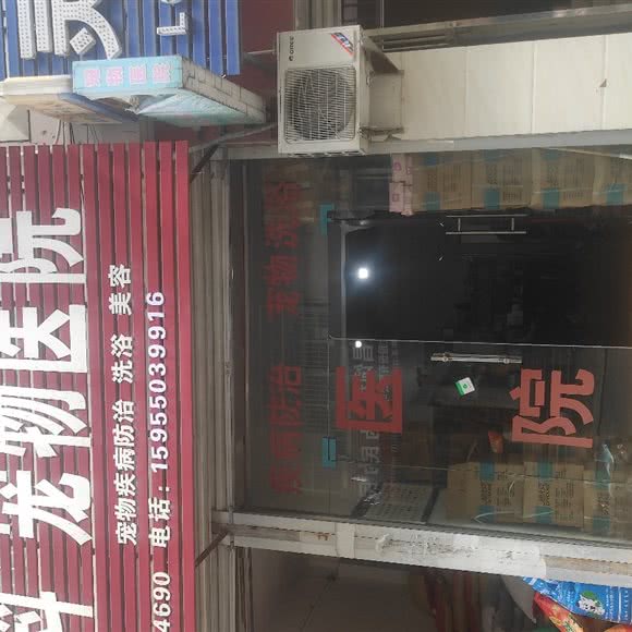 宠物医院:滁州市定远县