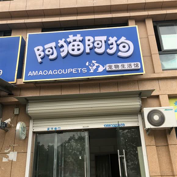 阿猫阿狗宠物生活馆:滁州市凤阳县