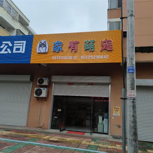 家有萌宠:滁州市天长市