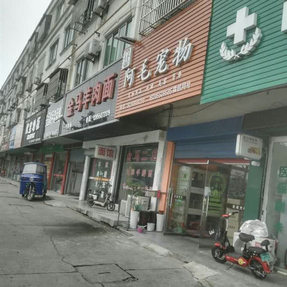 阿毛宠物:滁州市天长市