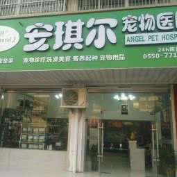 安琪尔宠物医院:滁州市天长市