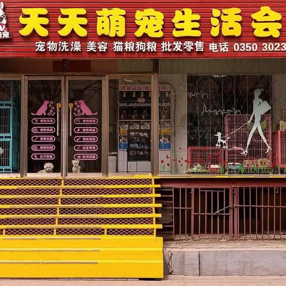 天天萌宠生活会馆:忻州市忻府区气象南巷附近