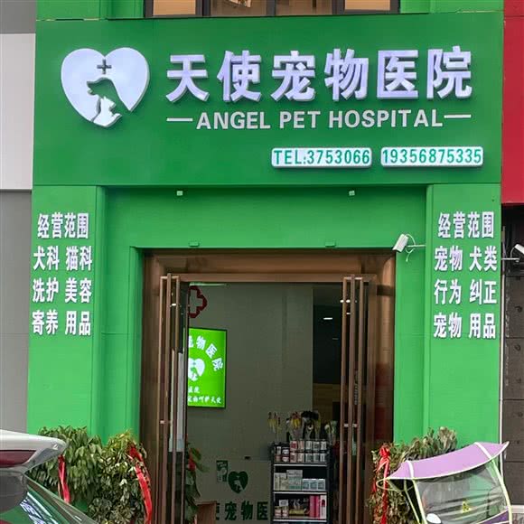 天使宠物医院:阜阳市颍州区