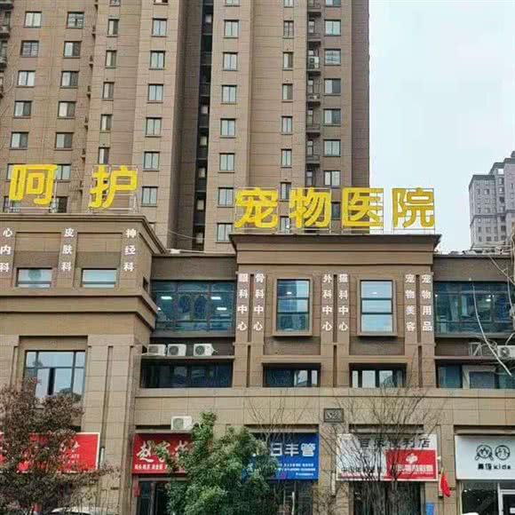 呵护宠物医院(城南新区店):阜阳市颍州区