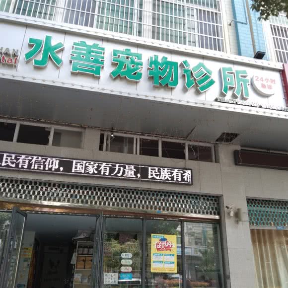 水善宠物诊所:阜阳市颍州区