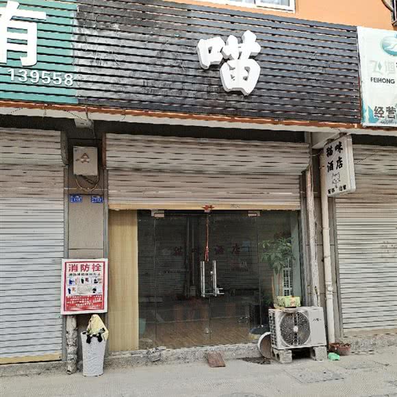 猫咪酒店:阜阳市颍东区