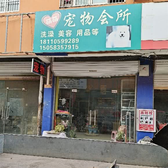萌萌宠物狗会所:阜阳市颍东区