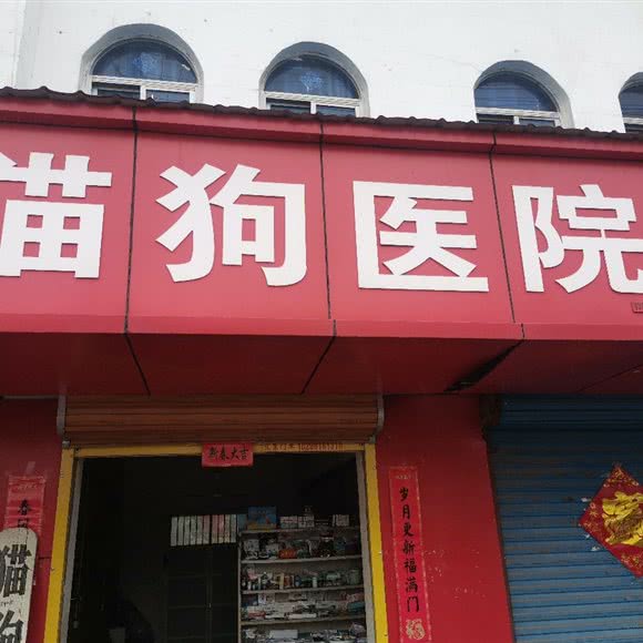 猫狗医院:阜阳市颍泉区