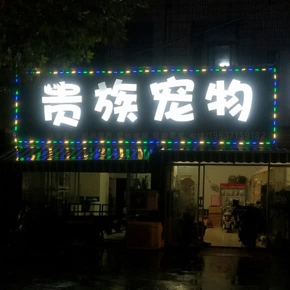 贵族宠物(港口路店):阜阳市临泉县