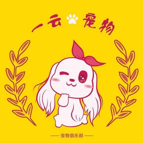 一云宠物连锁:阜阳市临泉县