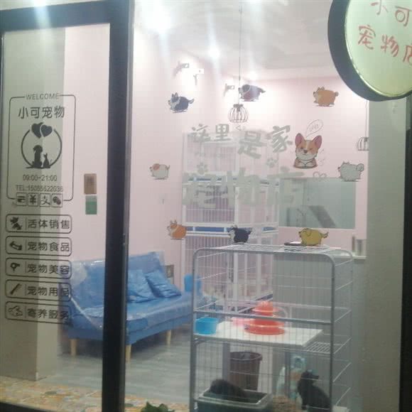 小可宠物生活馆:阜阳市临泉县
