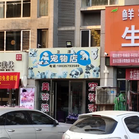 卫泽宠物店:临汾市尧都区新东城附近