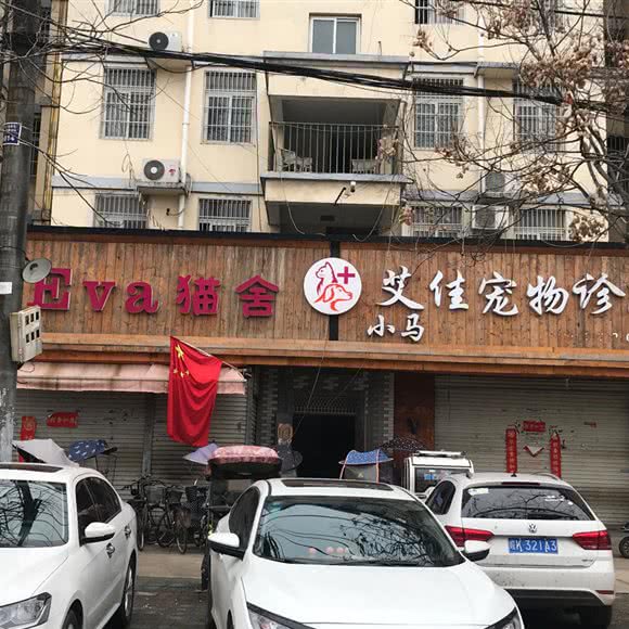 Eva猫舍:阜阳市临泉县
