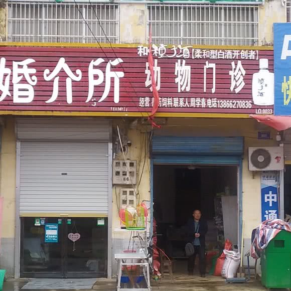 动物儿科:阜阳市临泉县