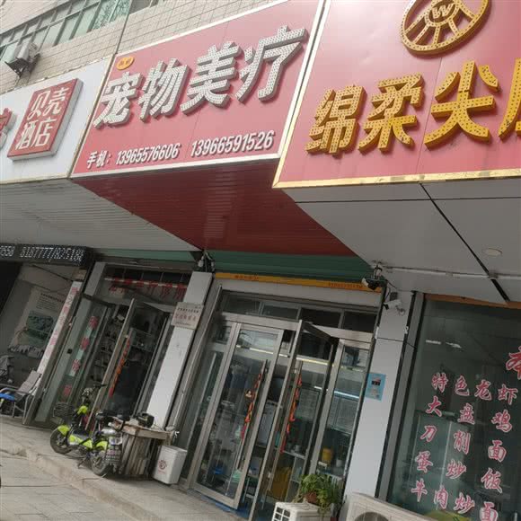 宠物美疗:阜阳市太和县
